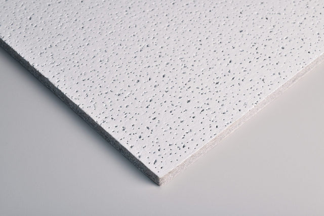 Ceramaguard Ceiling Tiles