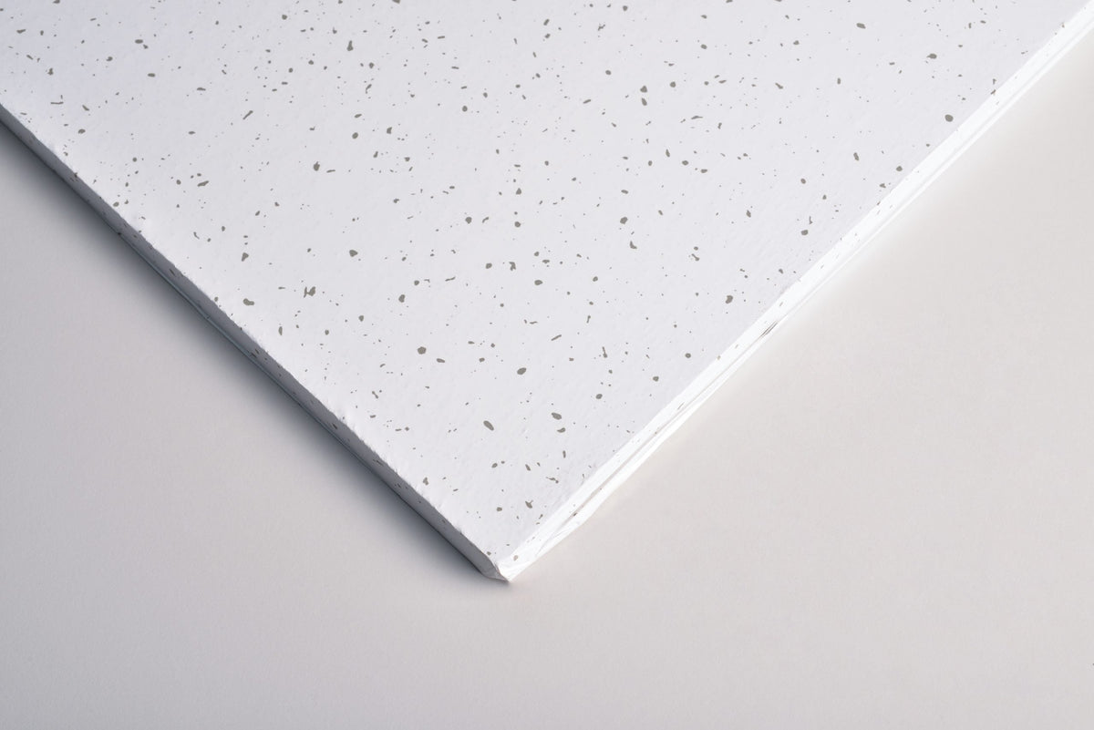 Clean Room FL Ceiling Tiles