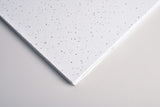 Clean Room FL Ceiling Tiles