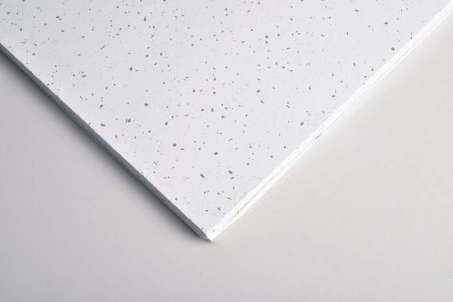 Clean Room FL Ceiling Tiles