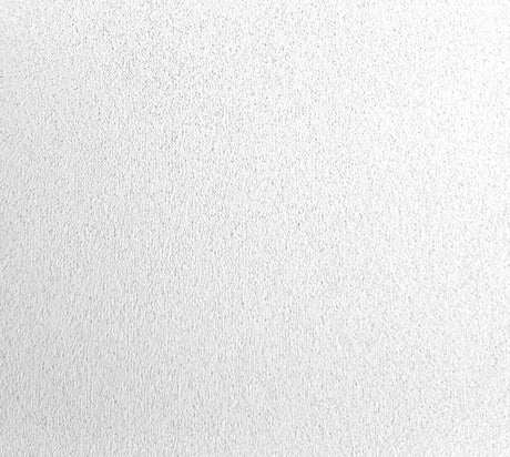 Rockfon Blanka A Ceiling Tiles - 600x600mm - Square Edge