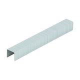 Staples HD Chisel - Galvanised - 1000 Pack
